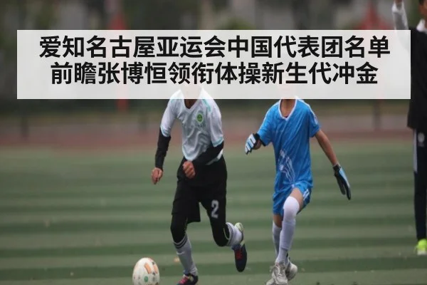 爱知名古屋亚运会中国代表团名单前瞻张博恒领衔体操新生代冲金 - Crowns Sports